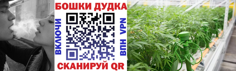 Бошки Шишки AK-47  где можно купить   Асино 